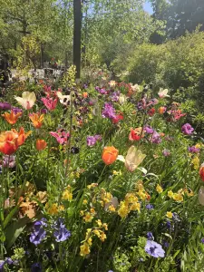 Christy 04 Bloemenzee